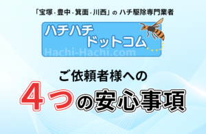 ハチ駆除専門 『ハチハチドットコム』が提供する４つの「安心」