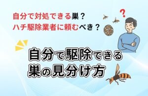 ハチの巣駆除は自分でできる？｜「自力で対処できる巣」と「業者に頼むべき巣」の見分け方